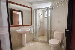 The Mayfair (D22), Condominium #514338971